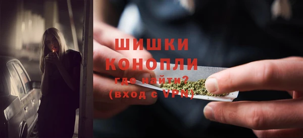 не бодяженный Гусев
