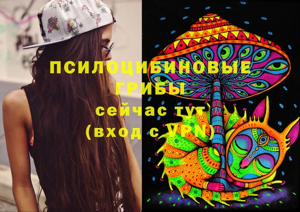 не бодяженный Гусев