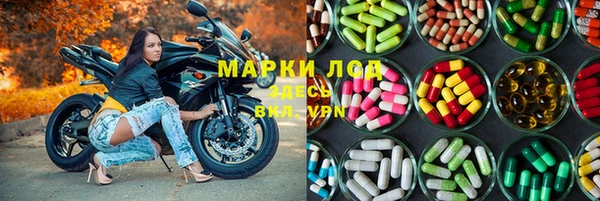 не бодяженный Гусев