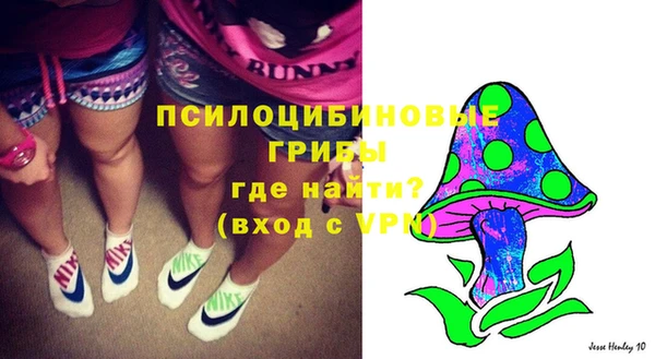 стафф Гусиноозёрск