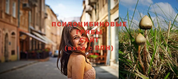 не бодяженный Гусев